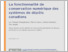 [thumbnail of Full text of report in French]