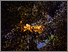 [thumbnail of Gamez_MFA_F2025_ph07.jpg]