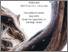[thumbnail of Gamez_MFA_F2025.pdf]